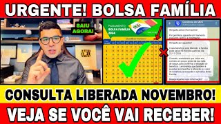 BOLSA FAMÍLIA NOVEMBRO CONSULTA LIBERADA SAIU QUEM VAI RECEBER O BOLSA FAMÍLIA EM NOVEMBRO [upl. by Rabjohn]