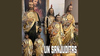 LE AGRADEZCO A LA VIRGENCITA SAN JUDAS TADEO YO SE QUE ME CUIDAS [upl. by Carl]