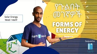 Forms of Energy  የጉልበት መገኛዎች [upl. by Refinnej344]