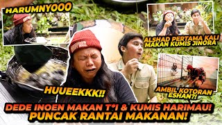 DEDE INOEN MAKAN KOTORAN DAN KUMIS HARIMAU  PUNCAK RANTAI MAKANAN TERTINGGI MEMBUKTIKAN POSISINYA [upl. by Annayram590]