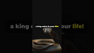 King Cobra Facts You Didnt Know 🐍 [upl. by Haymo]