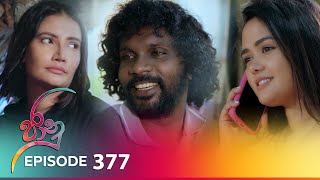 Jaanu  Episode 377  20240805  ITN [upl. by Artus898]