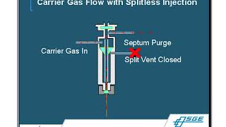 Gas ChromatographyMass Spectrometry GCMS Principles amp Techniques [upl. by Tserof]