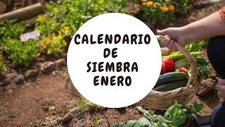 Calendario siembra Enero Sur y Norte [upl. by Scheer]