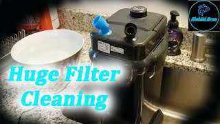 How to Clean Canister Filters  Penn Plax Cascade 1500 [upl. by Riley]