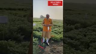 Short  Modi Eat Chana in ICRISAT  Hyderabad  Bela Times News [upl. by Nilla532]