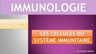 IMMUNOLOGIE 2 TUTO 1 Les cellules du système immunitaire [upl. by Anavahs]