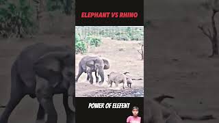 Elephant vs rhinotrendinganimalswildlife32Kelephantrhinoshortsshort [upl. by Hardej]