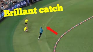 Brillant catch by Michael Neser Brisbane heat vs Sydney sixers [upl. by Stetson712]