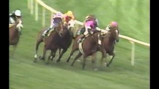 1993 Beverly D Stakes  Flawlessly [upl. by Esojnauj441]