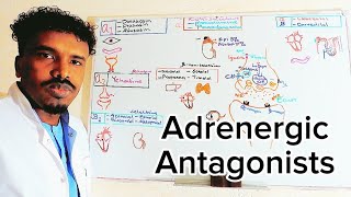 Pharmacology11 Adrenergic AntagonistsAfSoomaali [upl. by Marsden30]