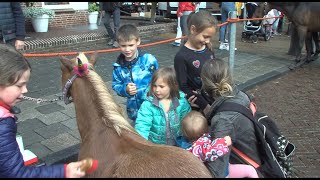 KIJK TERUG  Paardenmarkt Rijnsburg 2019 [upl. by Rita]