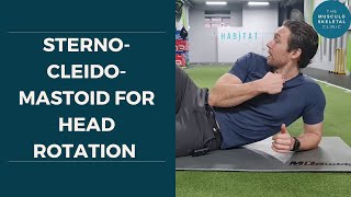 Strengthen your sternocleidomastoid for head rotation  The MSK Physio [upl. by Razaile991]