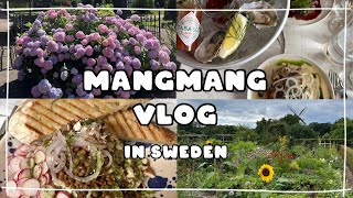 🇸🇪Vlog  스웨덴 말뫼 여행 브이로그 브런치 맛집 뷰맛집 도서관 마트 구경하기 정원 투어🍀 [upl. by Kensell691]