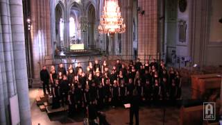 Augustana Choir  Indodana [upl. by Airdnat]