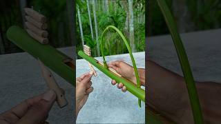 DIY  Bamboo Slingshots with Bamboo creations Bamboo Slingshots DIY Bambooart [upl. by Meredithe]