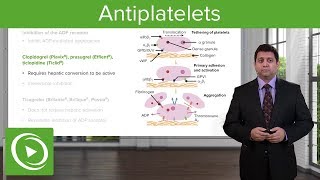 Pharmacology Anticoagulants Animation [upl. by Narcho911]