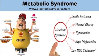 Metabolic Syndrome Insulin Resistance Syndrome  Syndrome X [upl. by Carnay]