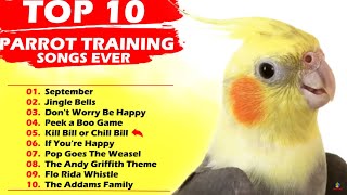 TOP 10 PARROT TRAINING SONGS EVER Whistle Training Teach Your Bird Cockatiel Singing Budgie [upl. by Aluap]