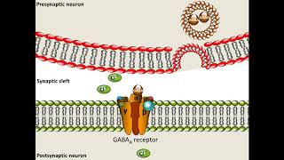 Pentobarbital  Mechanism of Action [upl. by Neiviv]