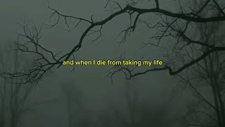 Skippy  “Taking My Life” lyric video [upl. by Milore]