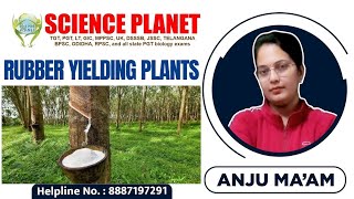 RUBBER YIELDING PLANT II BY ANJU MAM II SCIENCE PLANET II [upl. by Yasnil410]