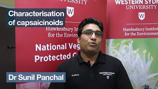 Dr Sunil Panchal – Characterisation of capsaicinoids [upl. by Northrop]