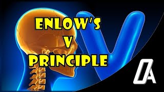 Enlows V Principle  Expanding V Principle  Growth and Development  Orthodontic Atheneum [upl. by Eigriv]