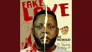 Fake Love feat Dr Tawanda amp NelcyB [upl. by Lennor]