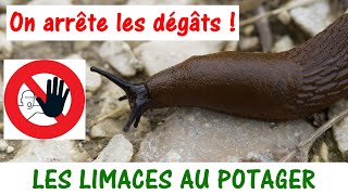 11 MÉTHODES ANTILIMACES [upl. by Belva]