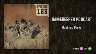 EP198  Dabbling Ducks [upl. by Danas]