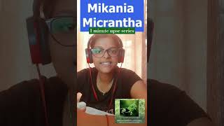 1 minute upsc series  Mikania Micrantha currentaffairs upscprelims upscbpscssc youtubeshorts [upl. by Naoma]