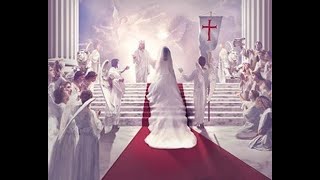 Day 9  Mystical Marriage Novena Daily Prayers  Part 1  9 days [upl. by Norine545]