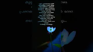 Mozhikalum mounangalum vineethsreenivasan lyrics [upl. by Aratnahs]