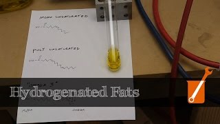 Hydrogenation transform liquid oil into solid fat [upl. by Shawna858]