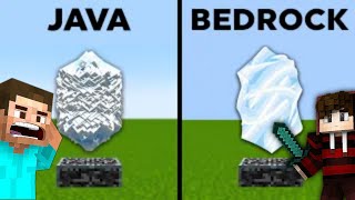 15 Minecraft Java Vs Bedrock Facts 😎 [upl. by Kcirrej]