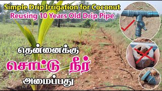 Simple Drip irrigation for Coconut தென்னைக்கு சொட்டு நீர் பாசனம் அமைப்பது [upl. by Bliss141]