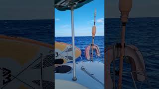 Moorea to Tahiti Sailing [upl. by Seftton]