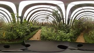 360 Video Experience Butterfly Garden Selvatura Park Monteverde Costa Rica [upl. by Inihor]