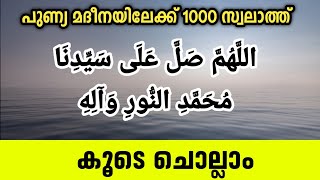 പുണ്യ മദീനയിലേക്ക് 1000 സ്വലാത്ത് ചൊല്ലാംswalath reciting to madinah [upl. by Anaud]