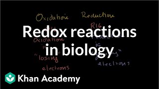 Oxidation and reduction review from biological pointofview  Biomolecules  MCAT  Khan Academy [upl. by Calley]