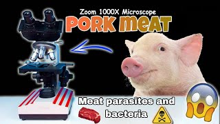 Fresh pork under the microscope😯microscope parasite bactria [upl. by Ecyor321]