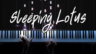 Joep Beving  Sleeping Lotus Piano Cover [upl. by Adlanor]