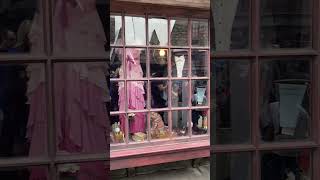 Harry Potter amp Hermione Granger Yule Ball Dress and Dress Robes Wizarding World Universal Studios [upl. by Nnyrat]