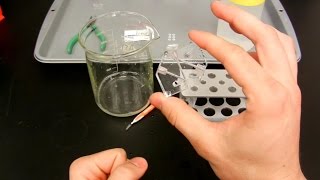 How to Clean a Flow Cell  FIAlab Instruments [upl. by Leahcin]