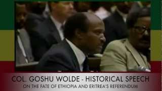 Colonel Goshu Wolde  Historical Speech [upl. by Yeslah363]