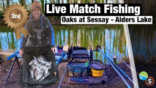 Live Match Fishing  The Oaks at Sessay Alders Lake [upl. by Zaid859]