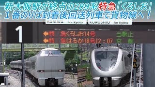 新大阪駅が終点の289系特急「くろしお」 1番のりば到着後回送列車で貨物線へ！ [upl. by Gisser]