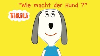 Wie macht der Hund  TiRiLiKinderlieder  Tierstimmen [upl. by Nerdna]