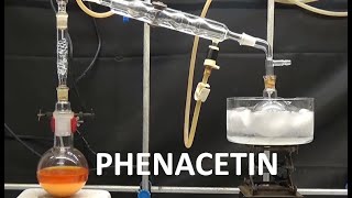 PHENACETIN SYNTHESIS WILLIAMSON ncchem [upl. by Esinert954]